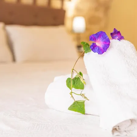 Appartement Casa Panstel *