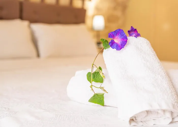 Apartament Casa Panstel *